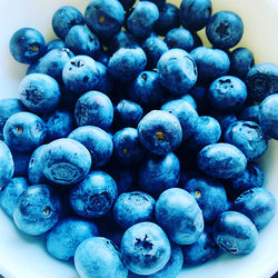 High angle view of blueberries