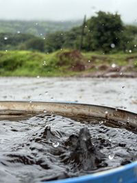 water