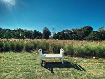 Chairs on field against clear sky on sunny day