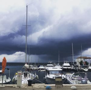 Sailboats moored at harbor