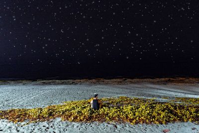 Rear view of man standing on field against sky at night