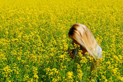 Yellow flowers growing in field