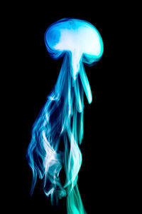 Close-up of light painting against black background