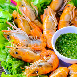 Close-up of seafood in plate