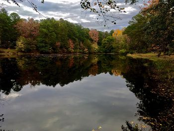 Reflection of trees in lake against sky