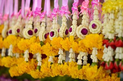 Close-up of yellow flowers hanging in market for sale