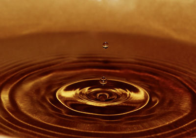 Close-up of water drop