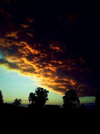 Silhouette of trees at sunset