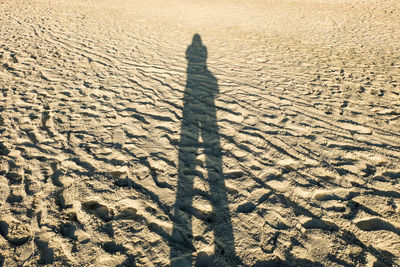 Shadow of person on sand