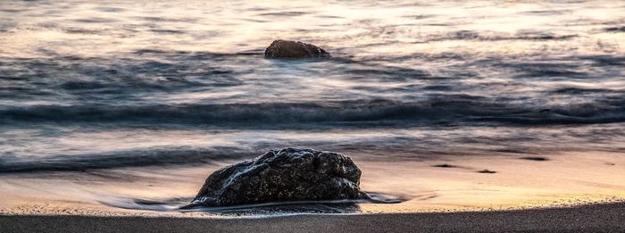 Close-up of crab on beach against sky during sunset