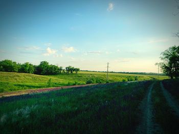 Scenic view of agricultural field against sky