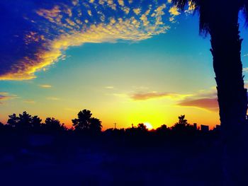 Silhouette trees against sky during sunset