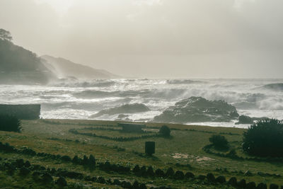 Scenic view of sea against sky