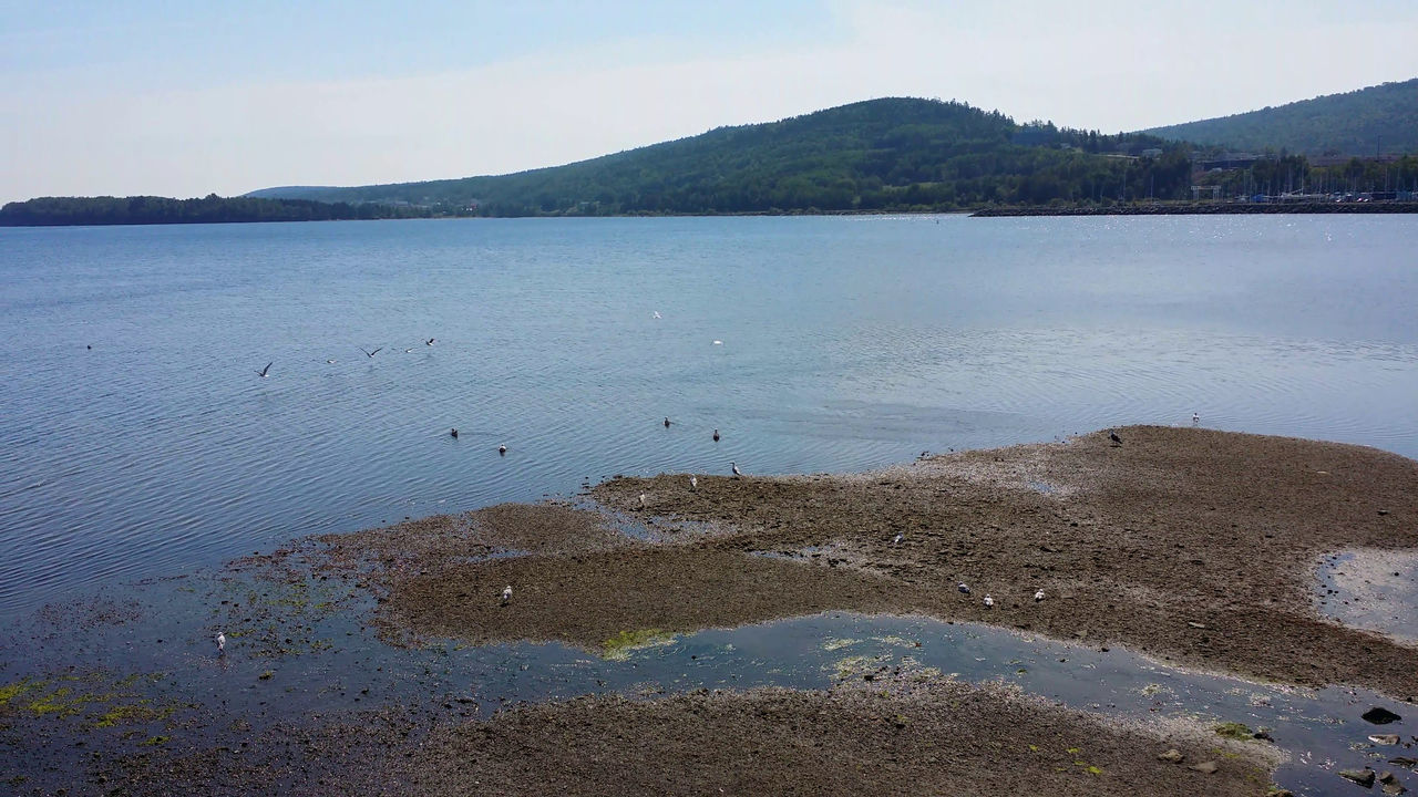 water, lake, body of water, reservoir, scenics - nature, shore, land, mountain, sky, environment, beauty in nature, landscape, nature, tranquility, tranquil scene, beach, travel destinations, no people, animal wildlife, day, coast, travel, bay, animal, tourism, outdoors, non-urban scene, animal themes, reflection, coastline, mountain range