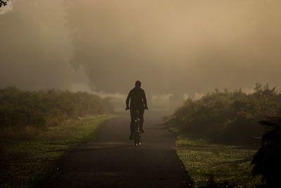 Rear view of man riding bicycle on road