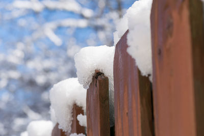 Close-up of snow