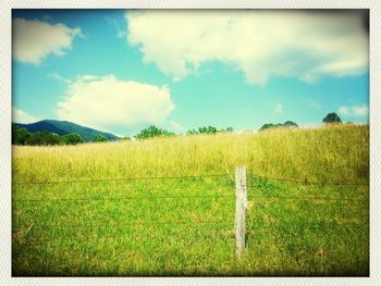 Scenic view of field against cloudy sky