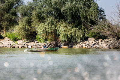 Scenic view of river by trees