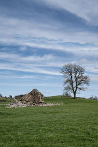 Bare tree on field against sky