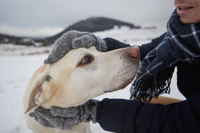 Man in warm jacket and knitted gloves stroking his dog. pet owner and labrador retriever in winter.