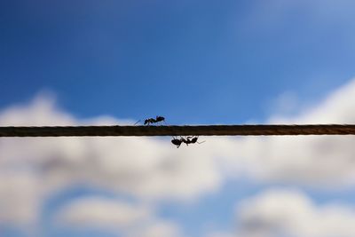 Low angle view of building against blue sky