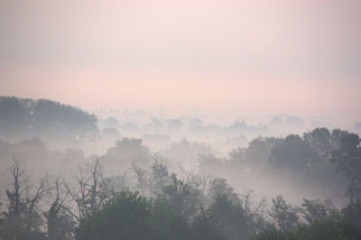 Scenic view of trees against sky at foggy weather