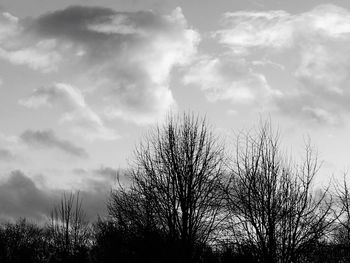 Low angle view of silhouette trees against sky