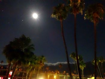 Low angle view of trees against sky at night