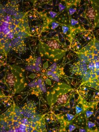 Close-up of flower tree