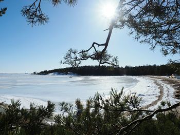 Scenic view of river during winter