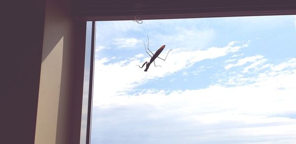 Low angle view of bird flying against sky