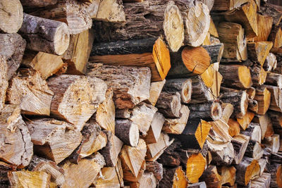 Full frame shot of logs in forest