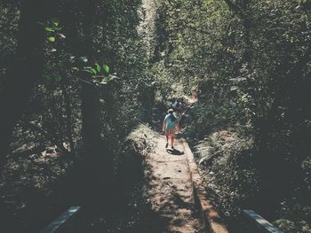 Man walking by trees in forest