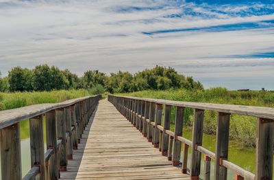 View of footbridge along trees