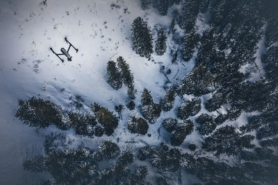 Scenic view of snow covered field