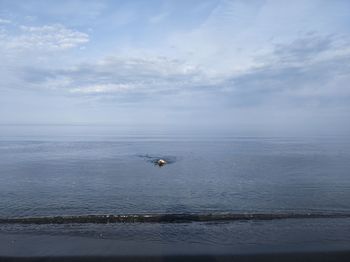 Scenic view of sea against sky with a dog