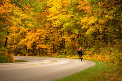 Rear view of man riding bicycle on road during autumn