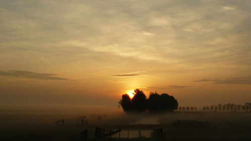 Silhouette trees against sky during sunset