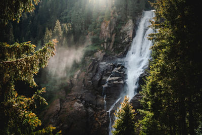 Scenic view of waterfall in forest