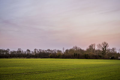 Scenic view of golf course against sky