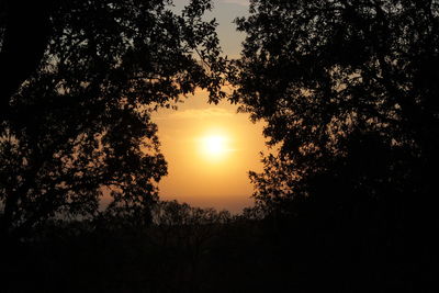 Silhouette trees against sky during sunset