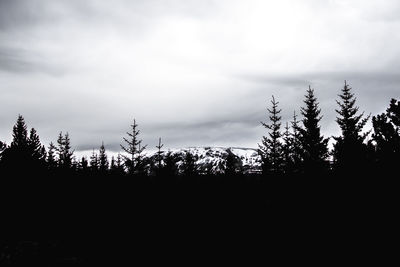 Silhouette trees in forest against sky