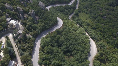 High angle view of road amidst trees in forest