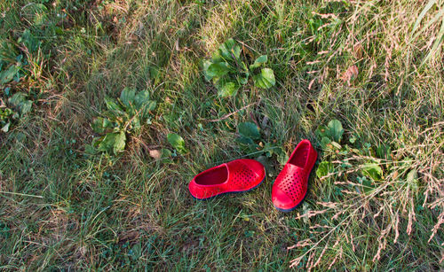 High angle view of red shoes on field