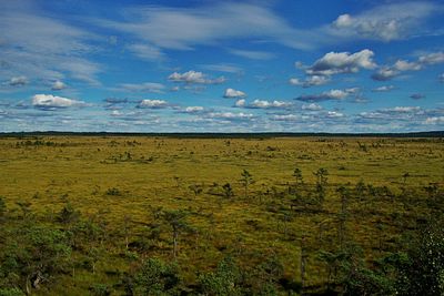 Scenic view of landscape against cloudy sky