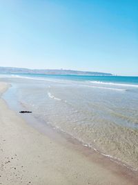 Scenic view of beach against clear blue sky