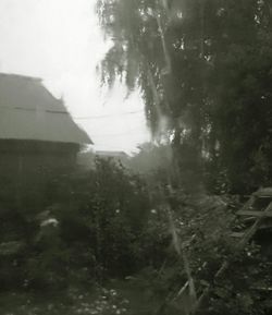 Scenic view of forest against sky