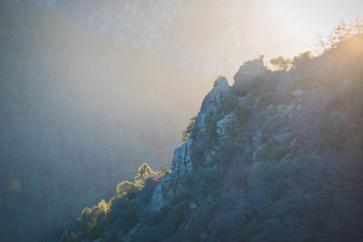 Scenic view of tree mountains against sky