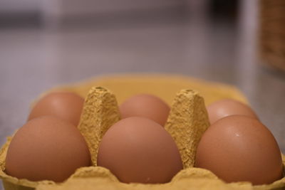 Close-up of eggs in carton
