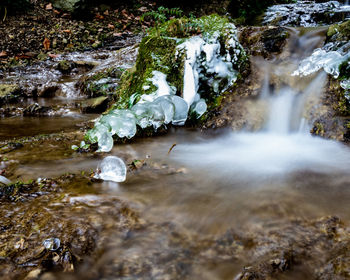 Scenic view of waterfall in forest